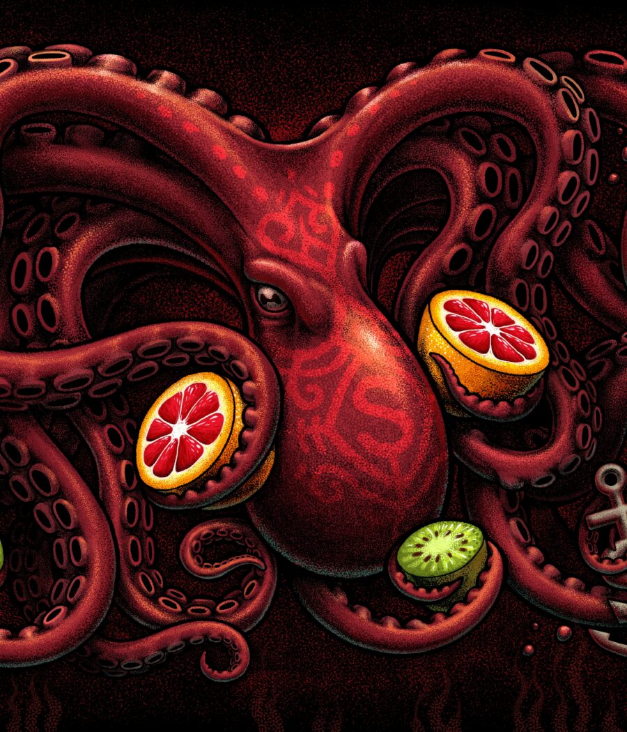 Stadshaven Brouwerij Octopus Blond Ilustratie